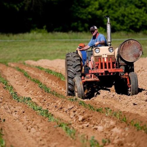 Fermierii pot depune cererile pentru rambursarea motorinei în agricultură până la 31 iulie 2024