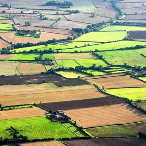 Temperaturile record afectează agricultura, dar judetul Covasna scapă de secetă