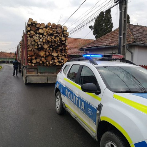 Acțiune a poliției pentru protejarea fondului forestier în județul Covasna