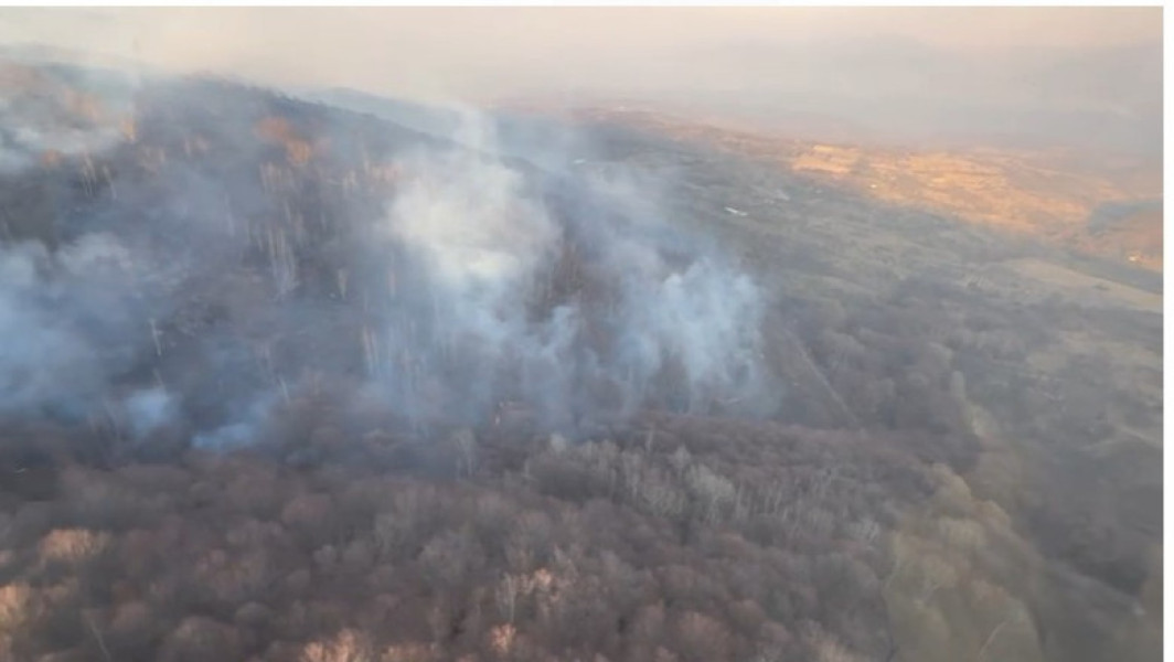 Incendiile de vegetație din șapte județe provoacă victime