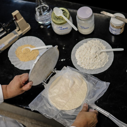 Cercetătoarea Raquel Gomez dezvoltă tortilla care rezistă fără frigider