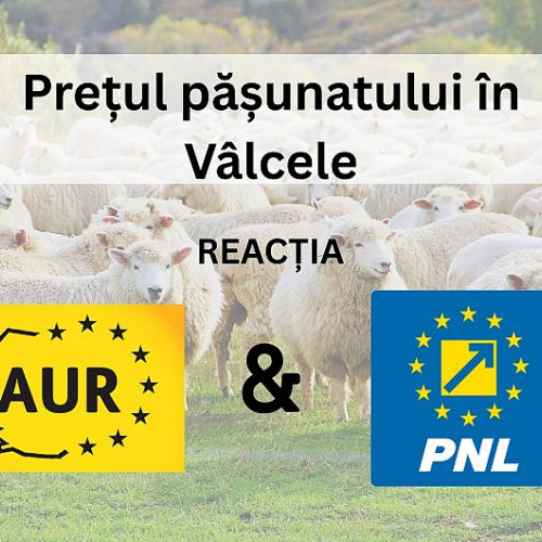 Controversa tarifelor pentru pășunat în comuna Vâlcele, înainte de alegeri