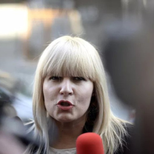Elena Udrea obține reducerea pedepsei cu câteva luni