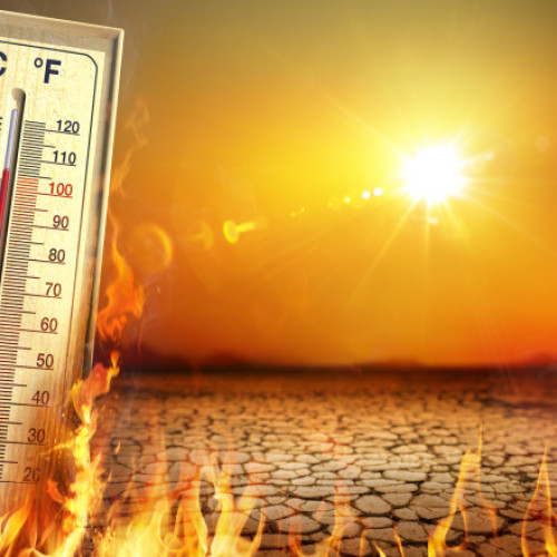 Temperaturi record așteptate între 2025 și 2029, avertizează Organizatia Meteorologică Mondială