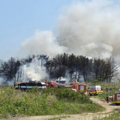 Trei victime în urma prăbușirii unui avion militar în Coreea de Sud