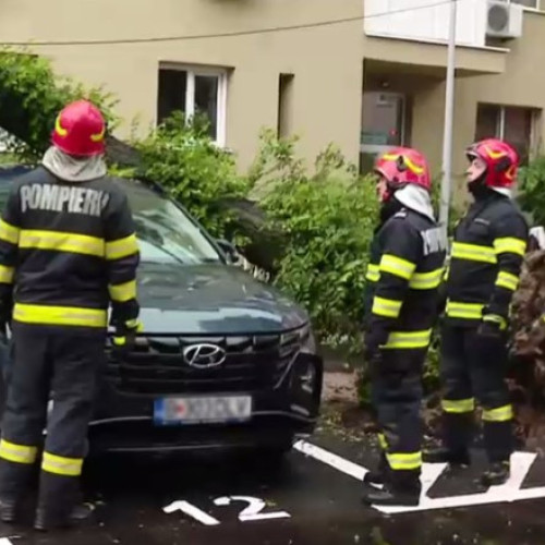 Copac căzut peste mașină în Capitală în urma vremii severe