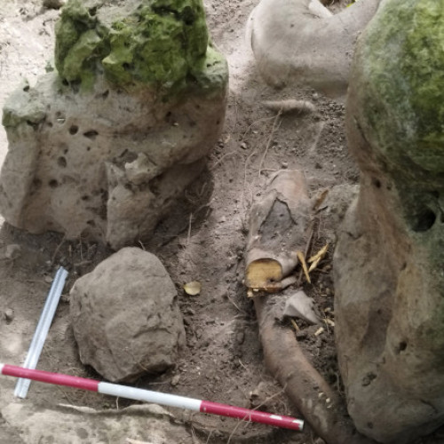 Descoperire remarcabilă a arhologilor în Guatemala: un complex maya vechi de aproape 3.000 de ani