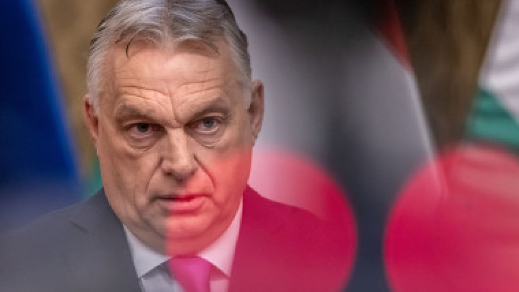Copac căzut pe tramvai în Sectorul 5 din Capitală, fără victime