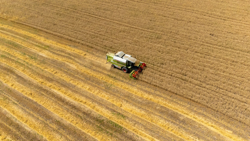 Indicele global al prețurilor alimentare a înregistrat o scădere în luna mai, datorită reducerii cotelor la cereale, zahăr și uleiuri vegetale, potrivit FAO, citează digi24.ro. Organizația Națiunilor Unite pentru Alimentație și Agricultură (FAO) publică lunar Food Price Index, care măsoară variațiile de preț ale unui coș de alimente format din cereale, uleiuri vegetale, lactate, carne și zahăr.