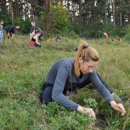 Un număr record de peste 6.700 de pomi fructiferi vor fi distribuiți în 2023 de Fundația Comunitară Covasna