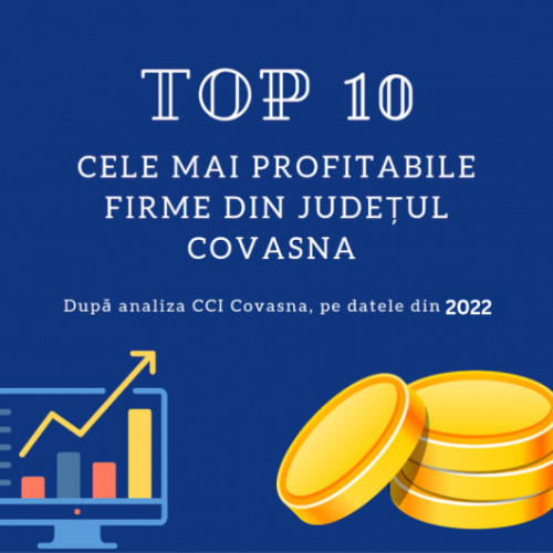 Top 10 Firme Profitabile din Covasna