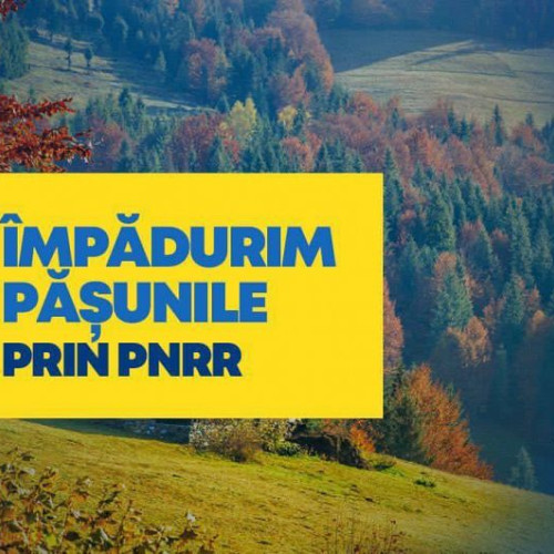 Împăduriri prin PNRR pentru pășuni: măsura de protecție începută