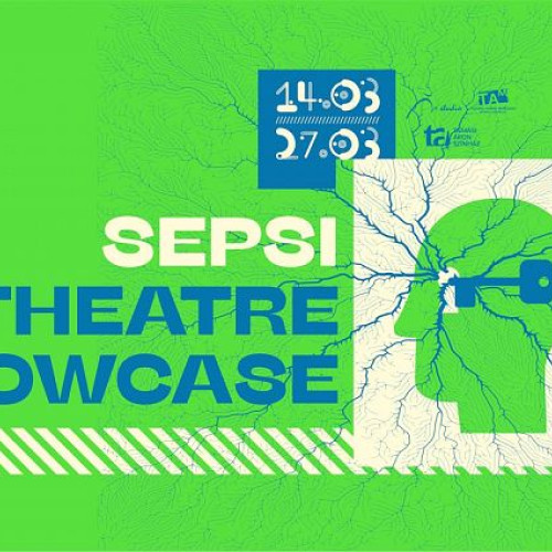 Debutul ShowCase-ului Teatral în Sfântu Gheorghe: 14 Spectacole în Două Săptămâni