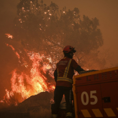 Incendii de vegetație uriașe în Portugalia: Lisabona cere ajutorul Europei