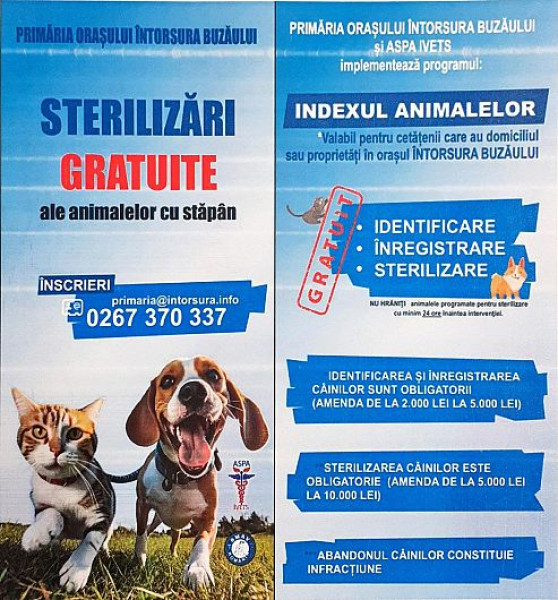 Campanie gratuită de sterilizare pentru câini la Întorsura Buzăului, în septembrie