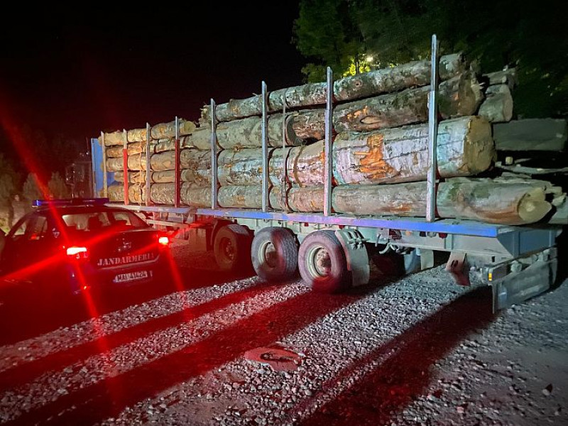 Transport ilegal de lemn descoperit de jandarmii covăsneni în Zăbrătău