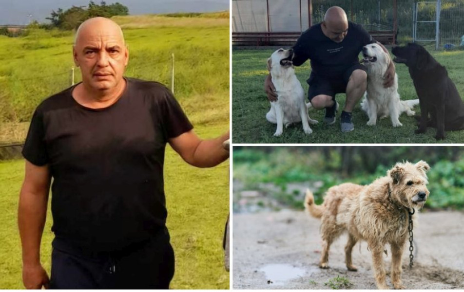 Președintele Benji avertizează asupra riscurilor interzicerii lanțului pentru câini fără susținere reală
