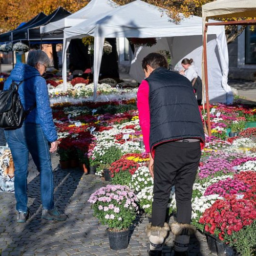 Restricții temporare de trafic în zona cimitirelor din Sfântu Gheorghe de Ziua Tuturor Sfinților