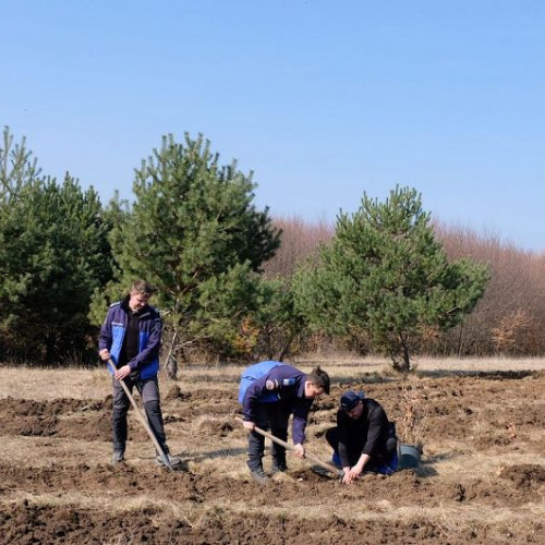 Jandarmii covăsneni, alături de voluntari în campania „Plantăm viață”