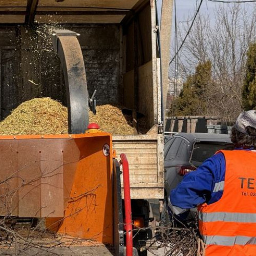 TEGA va colecta crengi din Chilieni și Coșeni pentru transport