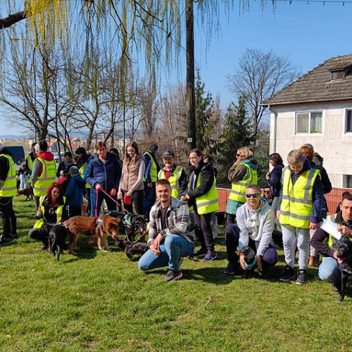 Marș pentru adopția animalelor abandonate în adăpostul public