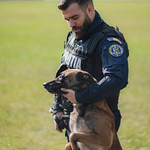 Poliția din județul Covasna caută un coleg iubitor de animale. Pentru ce funcție se organizează concurs