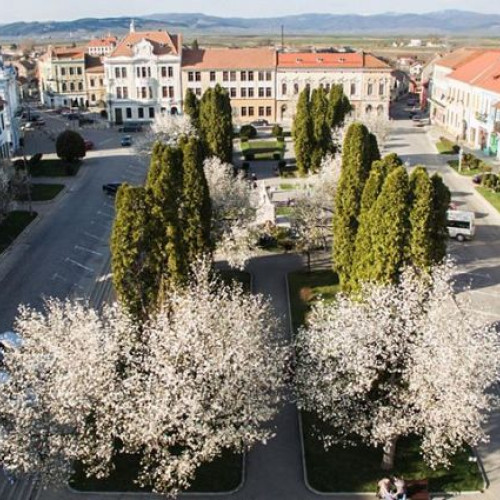 Tensiuni în campania electorală din Târgu Secuiesc